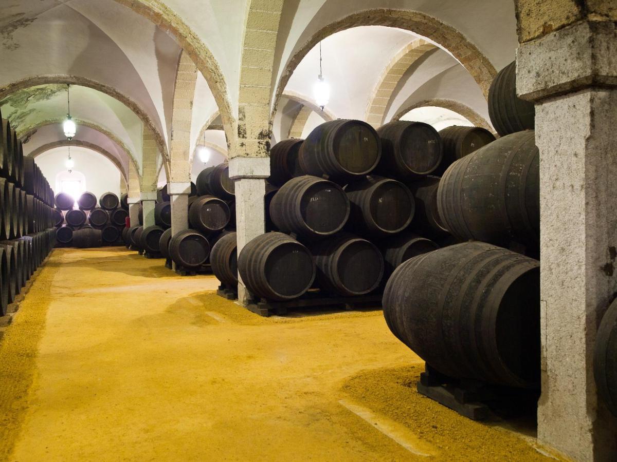 Sherryflat Senovilla Jerez de la Frontera Zewnętrze zdjęcie
